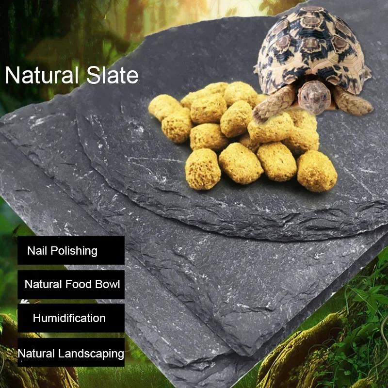 Aquarium Fish Food - Natuurlijk Leisteen Aquarium Reptiel Feeder Kom