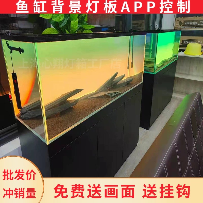 Aquarium Fish Colour - Acryl Aquarium Achtergrond RGB Kleurrijk Gradiënt