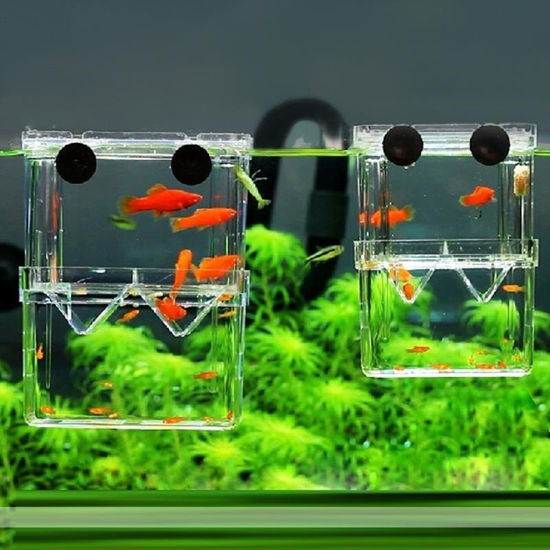 Aquarium Fish Jar - Multifunctioneel Visaquarium Hoge Heldere Viskwekerij Isolatiebox