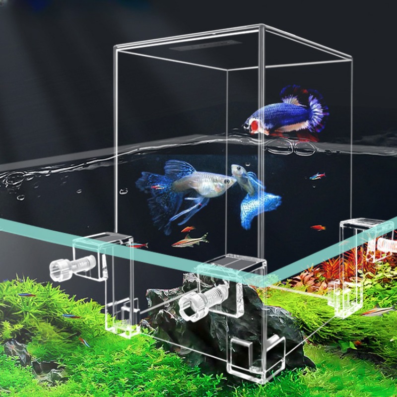 Aquarium Fish Jar - Creatieve Aquariumtanks Negatieve Druk Aquarium Ecologische