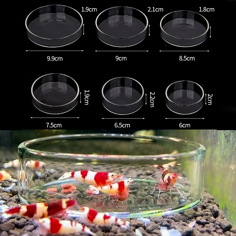Aquarium Fish Food - Garnalen Voerbak Hoge Transparante Glazen Voerbak