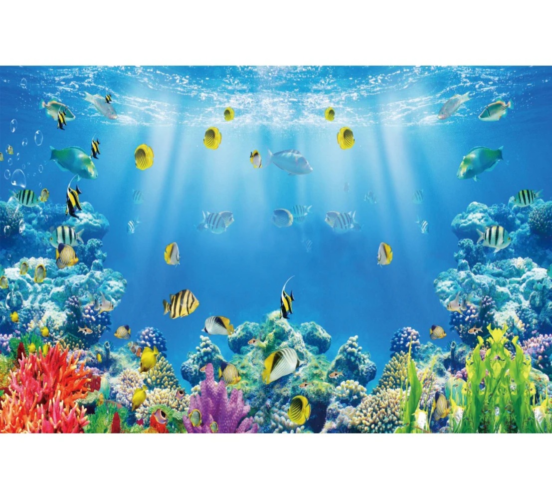 Onderwaterwereld Vis Koraal Aq - Aquarium Fish World recensie en prijs