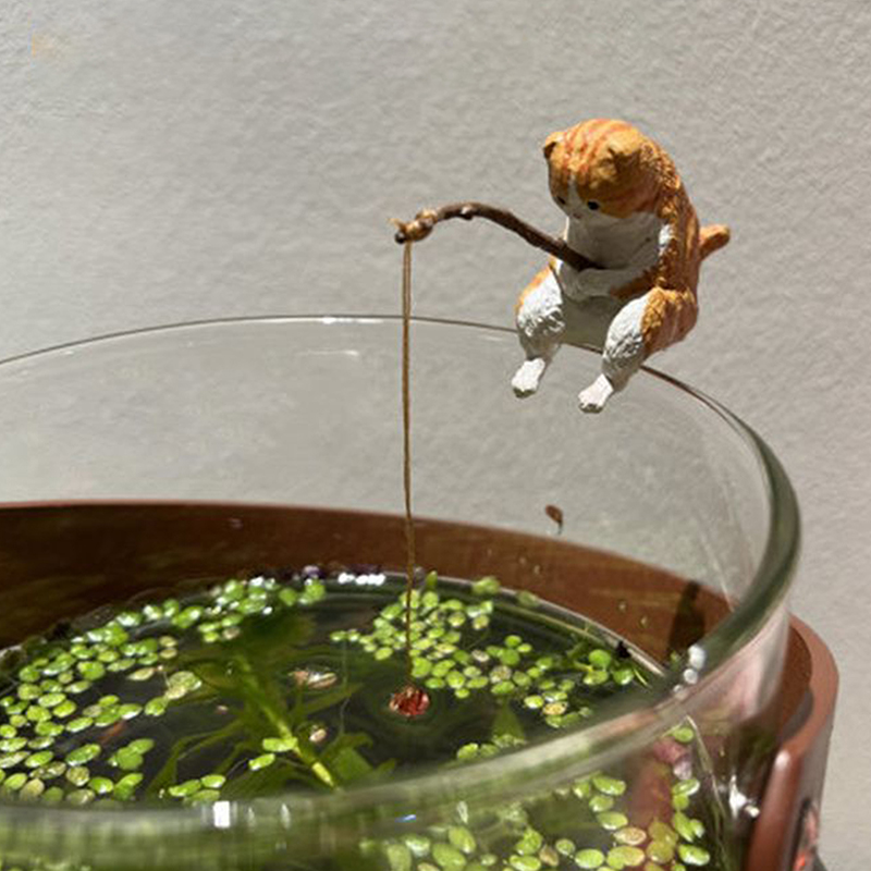 1Pc Creatieve Visserij Kat Vis - Aquarium Mini Fish recensie en prijs