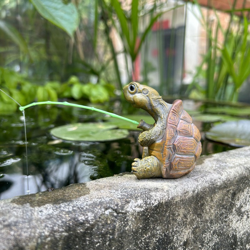 Schildpadvissen aquarium aquar - Aquarium Fishing recensie en prijs