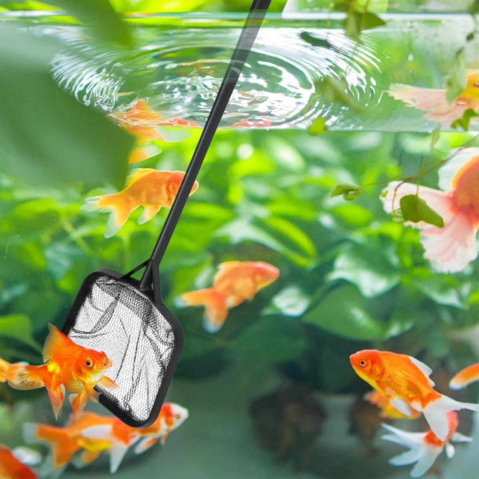 Zwembadnetten voor het reinige - Aquarium Fishing recensie en prijs