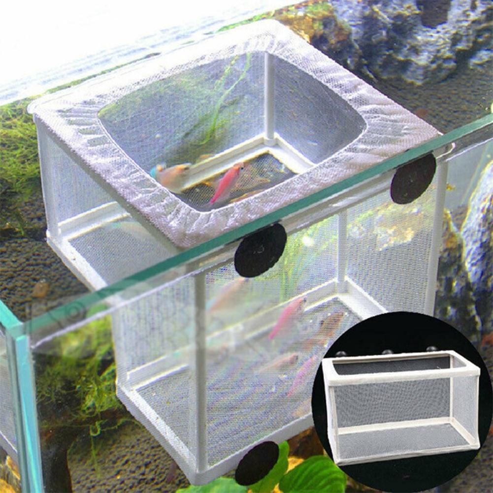 Aquarium Vis Kweekbak met Zuig - Aquarium Fish Jar recensie en prijs