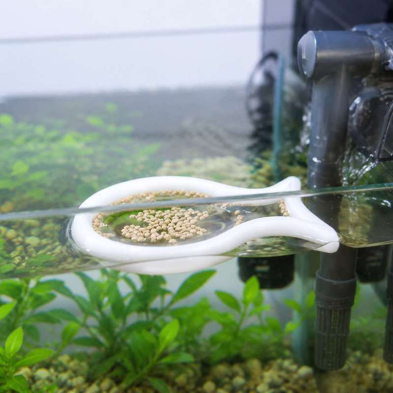 Visvormige drijvende voederrin - Aquarium Fish Food recensie en prijs