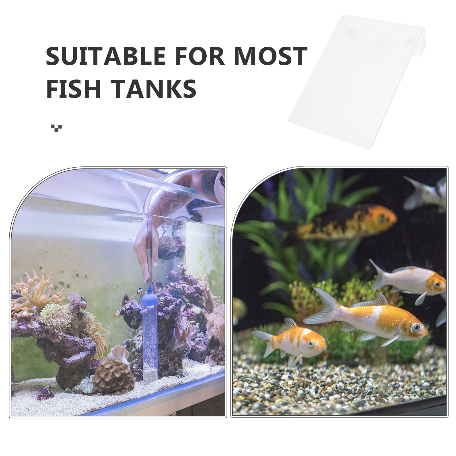 Afneembare viskweekbak met lic - Aquarium Fish Discus recensie en prijs