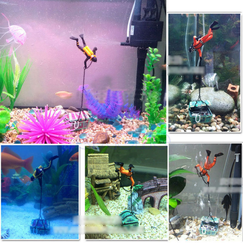 Schatkist Duiker Aquarium Orna - Aquarium Fish World recensie en prijs