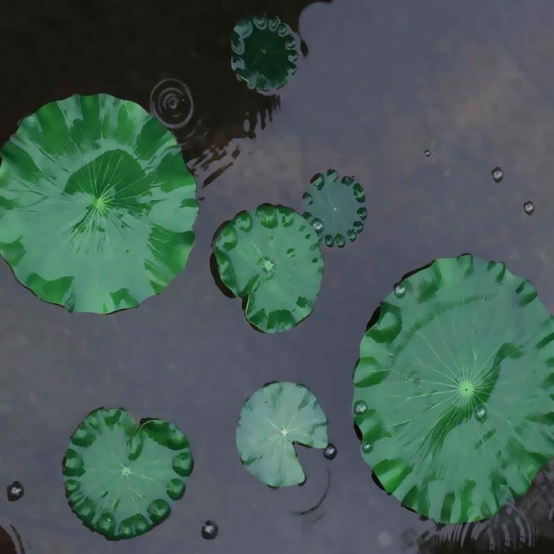 2026 Kunstmatige Waterlelie Lo - Aquarium Fish In Pond recensie en prijs