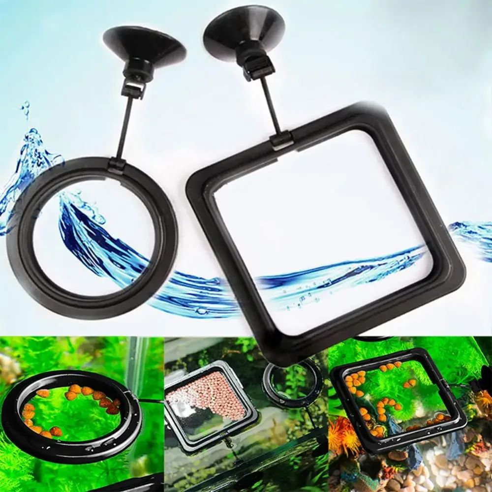 Voer Zuignap Aquarium Voederri - Aquarium Fish Food recensie en prijs