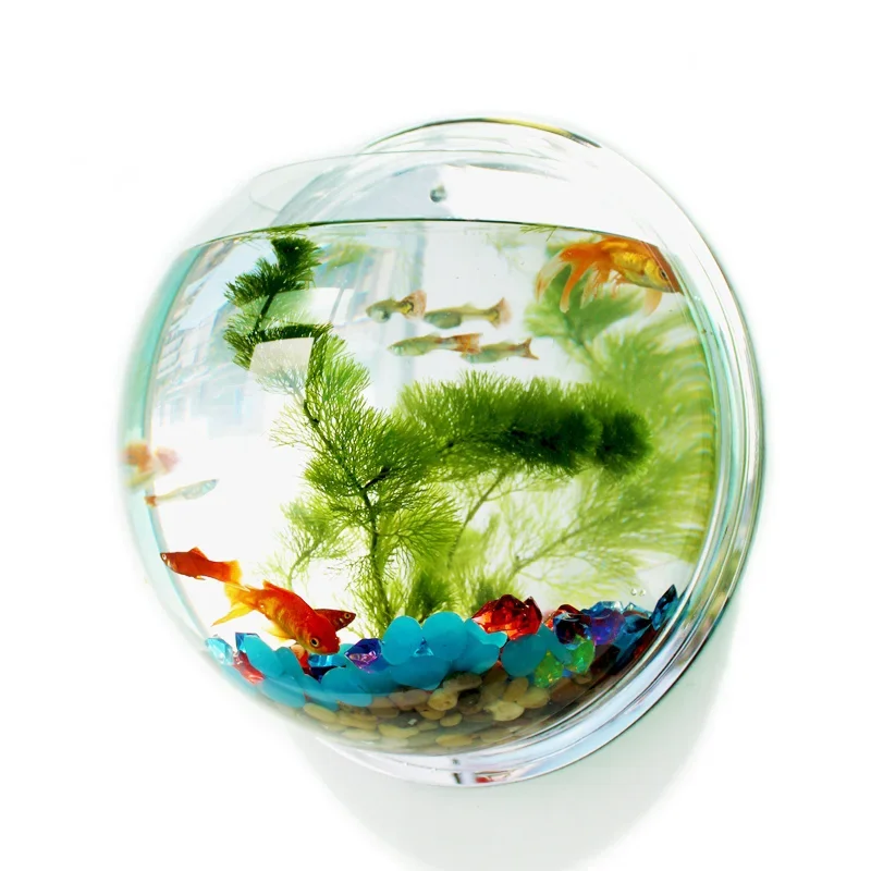 Pinsjar Acryl Viskom Muuropkno - Aquarium Fish Jar recensie en prijs