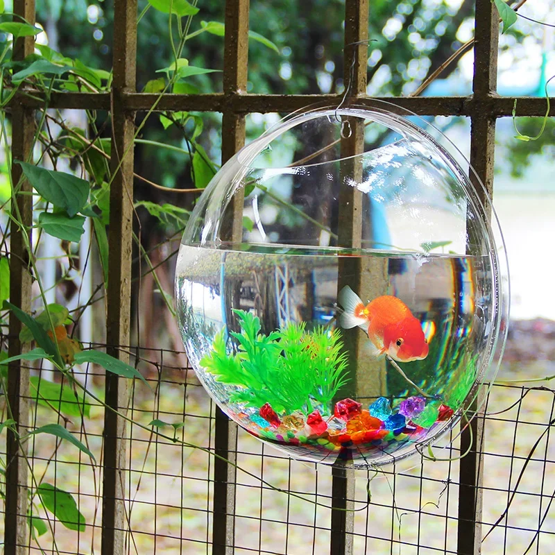 Pinsjar Acryl Viskom Muuropkno - Aquarium Fish Jar recensie en prijs