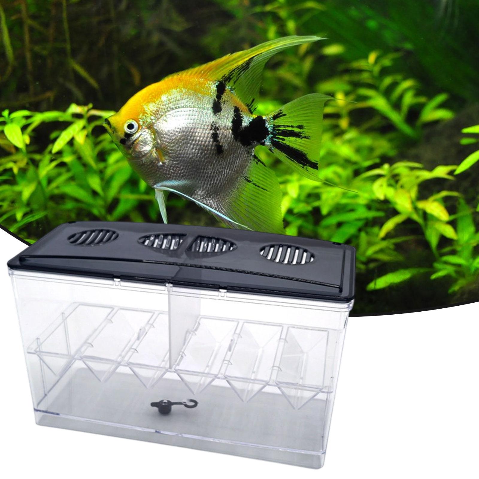 Drijvende visveredeling Isolat - Aquarium Fish Jar recensie en prijs