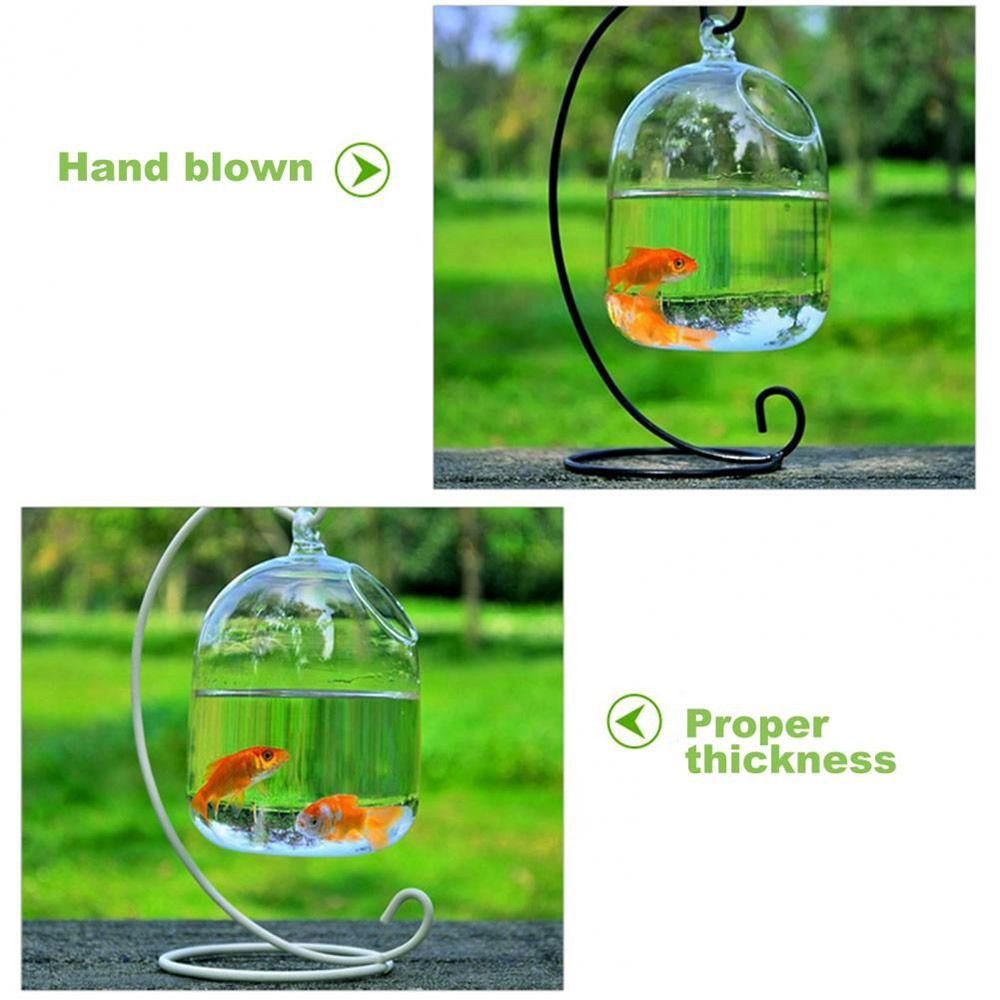 Aquariumdecoratie wanddecorati - Aquarium Fish Jar recensie en prijs