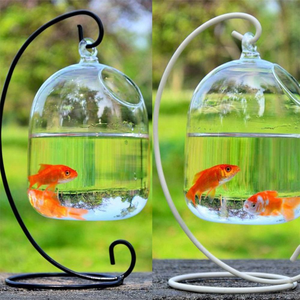 Aquariumdecoratie wanddecorati - Aquarium Fish Jar recensie en prijs