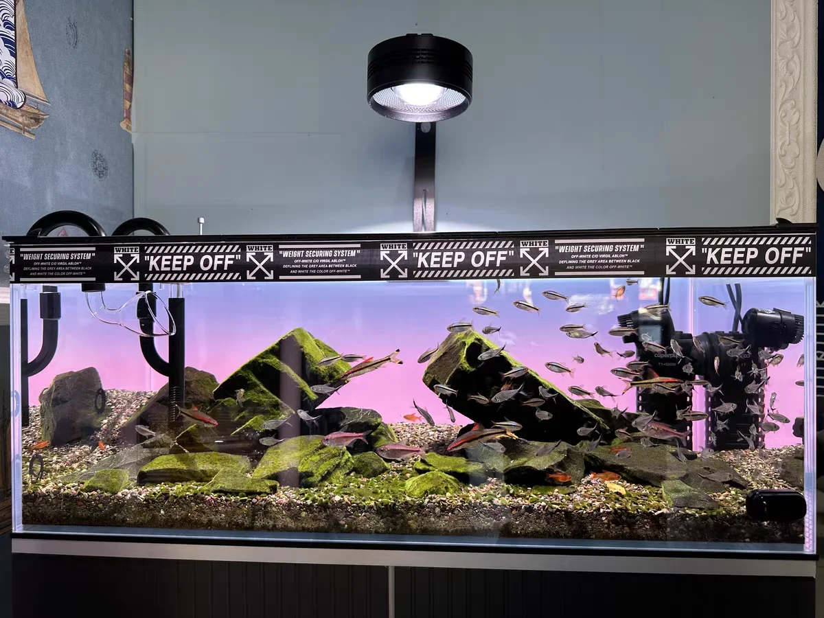 RGB Acryl Visbak Achterwand Kl - Aquarium Fish Colour recensie en prijs