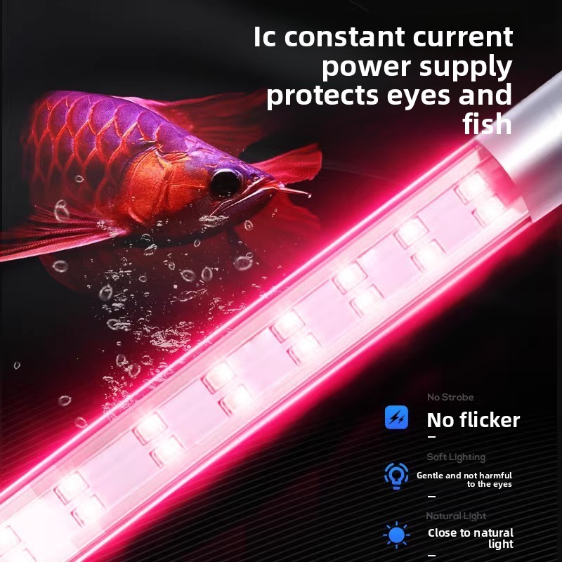 Volledig spectrum LED aquarium - Aquarium Fish Discus recensie en prijs