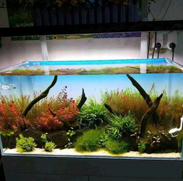 RGB Acryl Visbak Achterwand Kl - Aquarium Fish Colour recensie en prijs