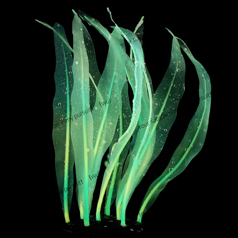 Gesimuleerde Kelp Plant Decora - Aquarium Fish World recensie en prijs