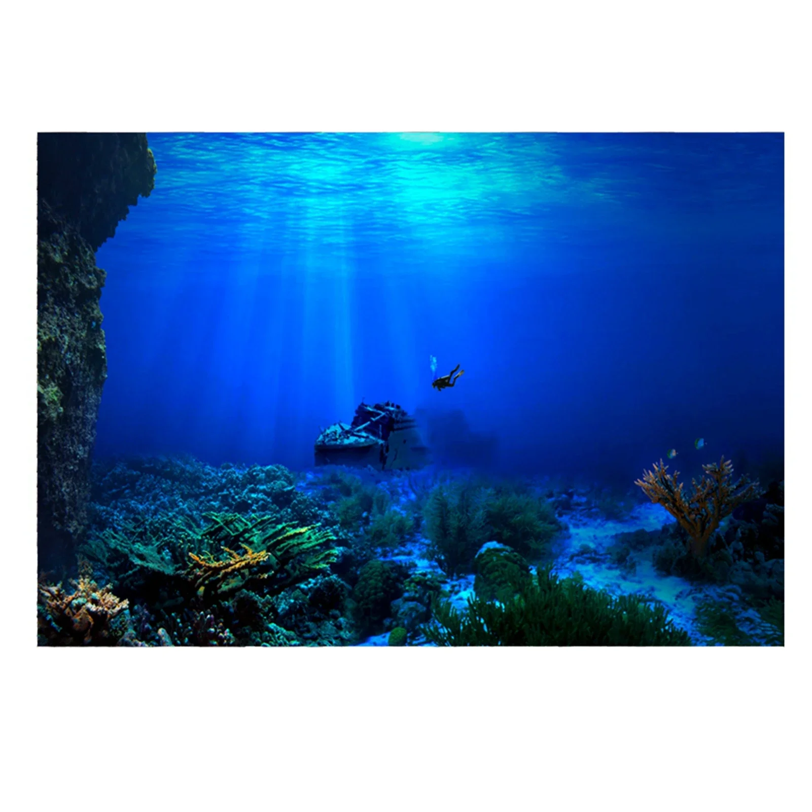 Regenwoud Aquarium Achtergrond - Aquarium Fish World recensie en prijs