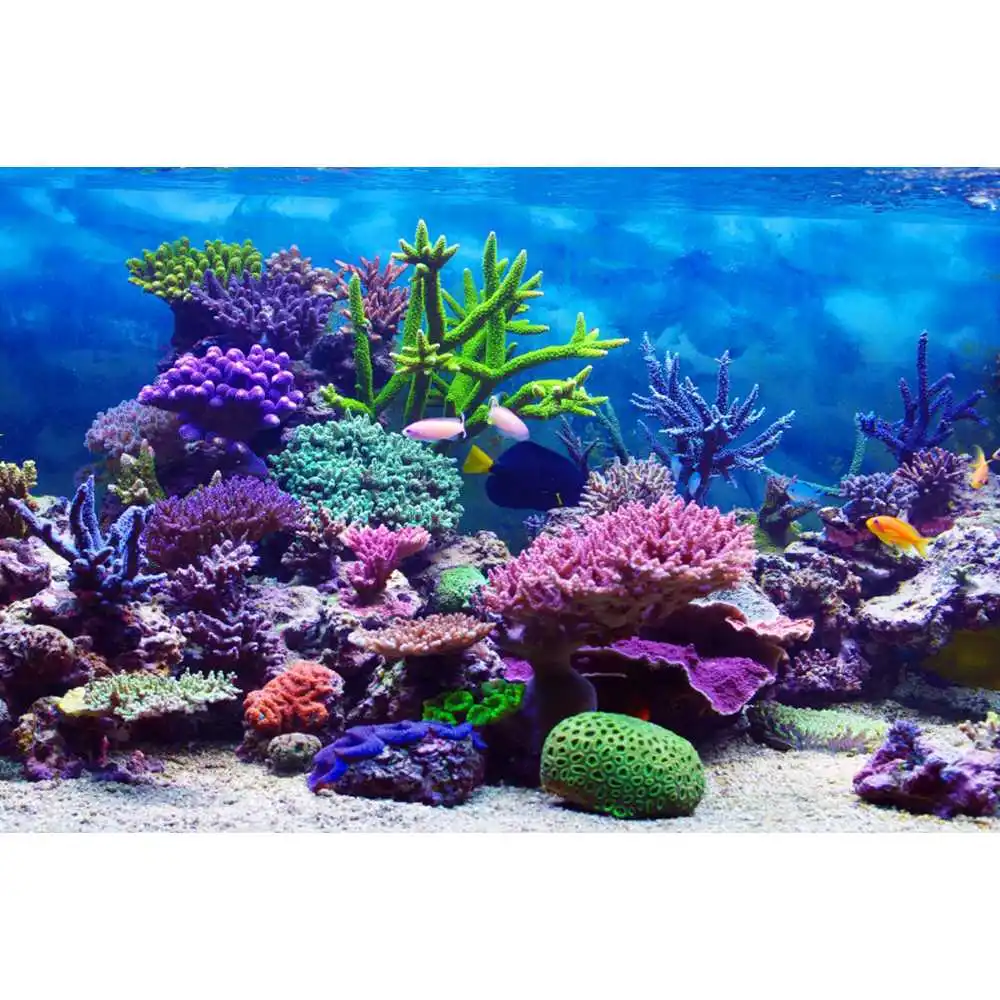 Onderwaterwereld Zeebodem Acht - Aquarium Fish World recensie en prijs