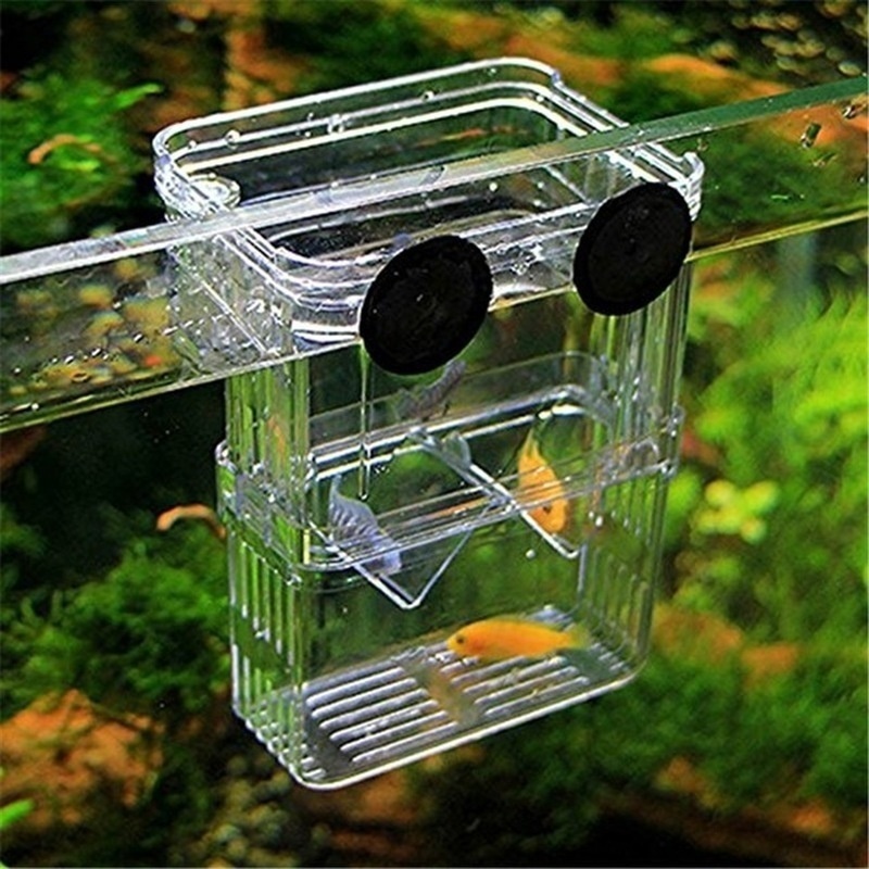 Multifunctioneel Visaquarium H - Aquarium Fish Jar recensie en prijs