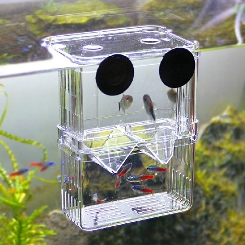 Multifunctioneel Visaquarium H - Aquarium Fish Jar recensie en prijs