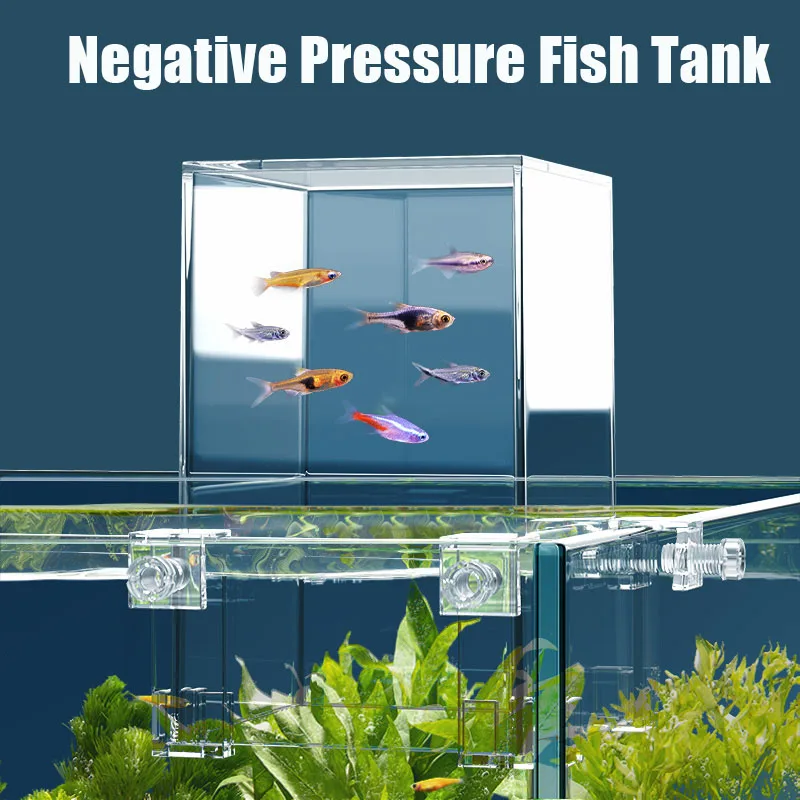 Creatieve Aquariumtanks Negati - Aquarium Fish Jar recensie en prijs