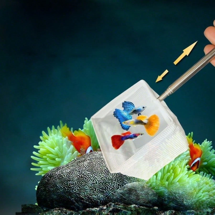 Aquarium Visnet - een intrekba - Aquarium Fish Food recensie en prijs