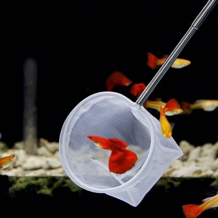 Aquarium Visnet - een intrekba - Aquarium Fish Food recensie en prijs