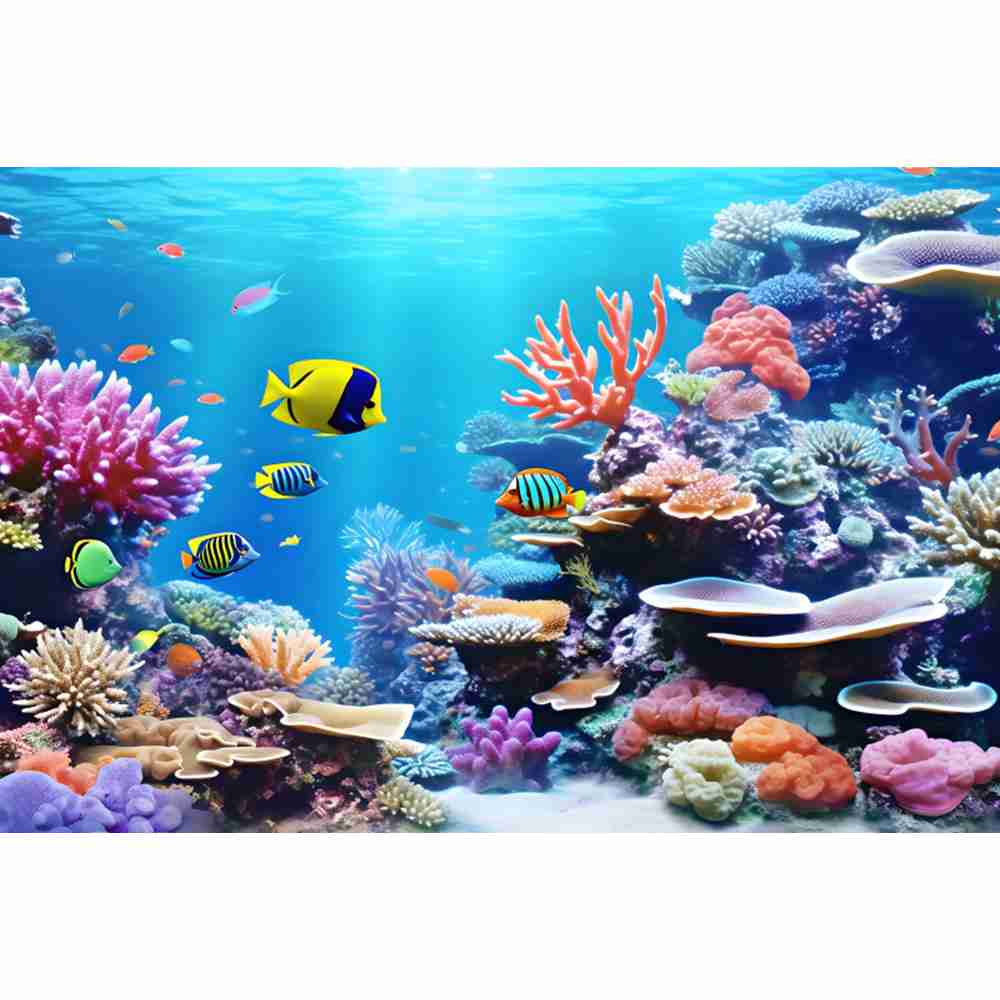 Onderwater Oceaan Wereld Fotog - Aquarium Fish World recensie en prijs