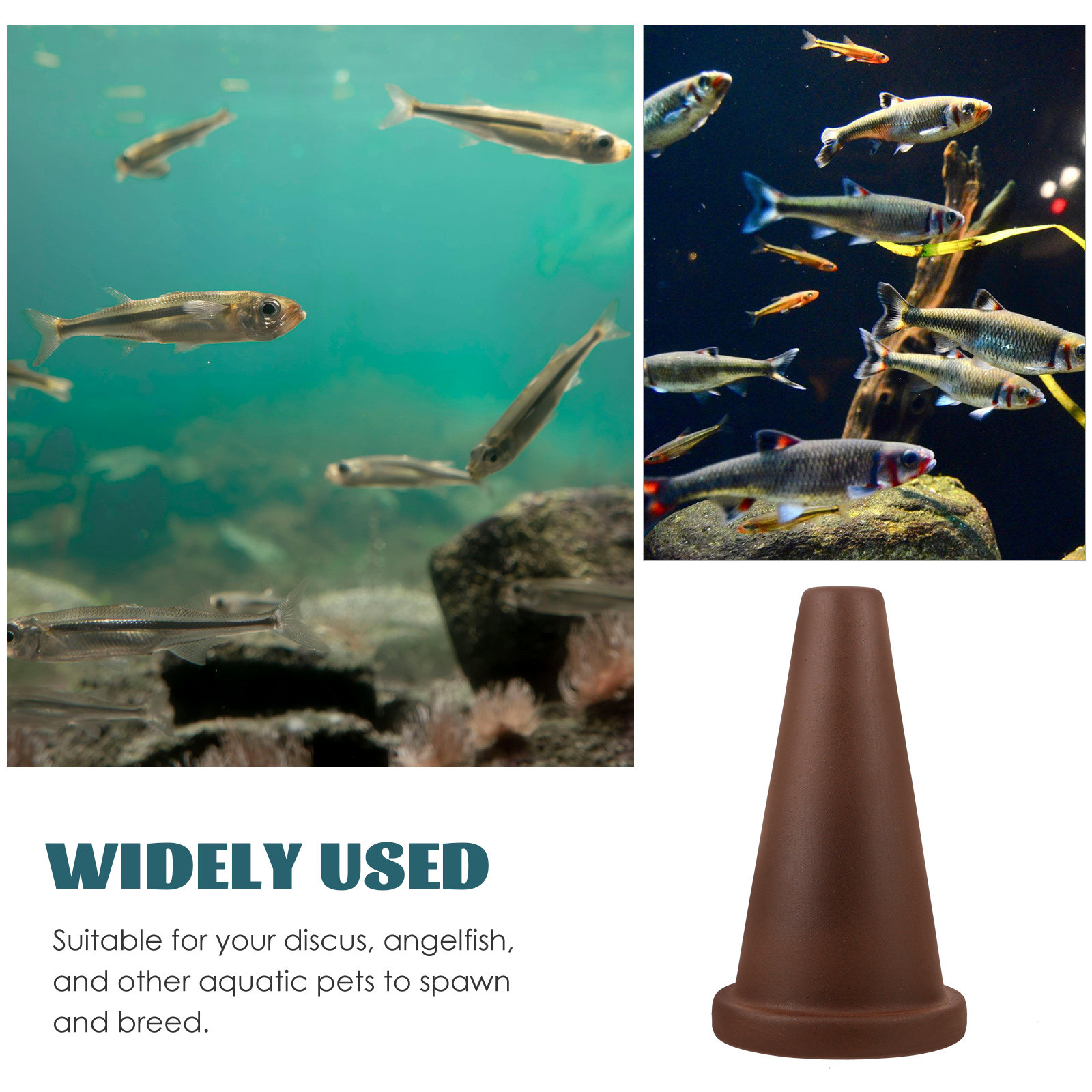 Aquarium kweekkegel viskweekho - Aquarium Fish Discus recensie en prijs