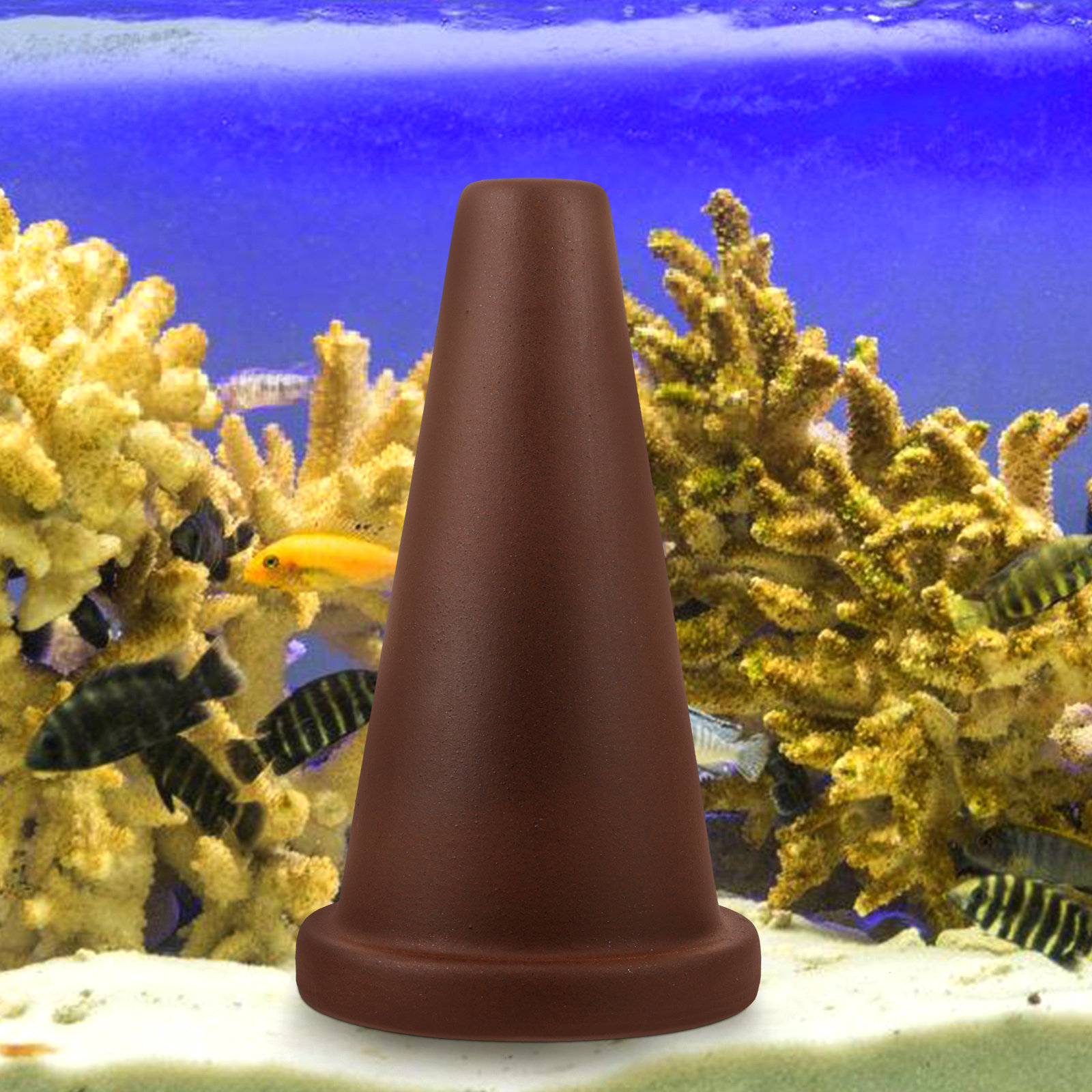 Aquarium kweekkegel viskweekho - Aquarium Fish Discus recensie en prijs