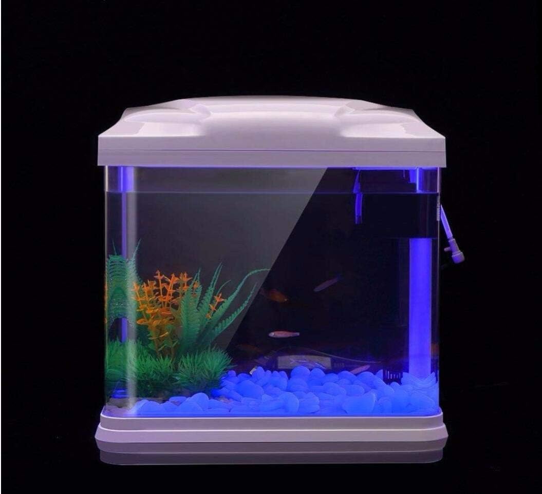 Aquarium Rotsen Glow Blue Kiez - Aquarium Fishing recensie en prijs