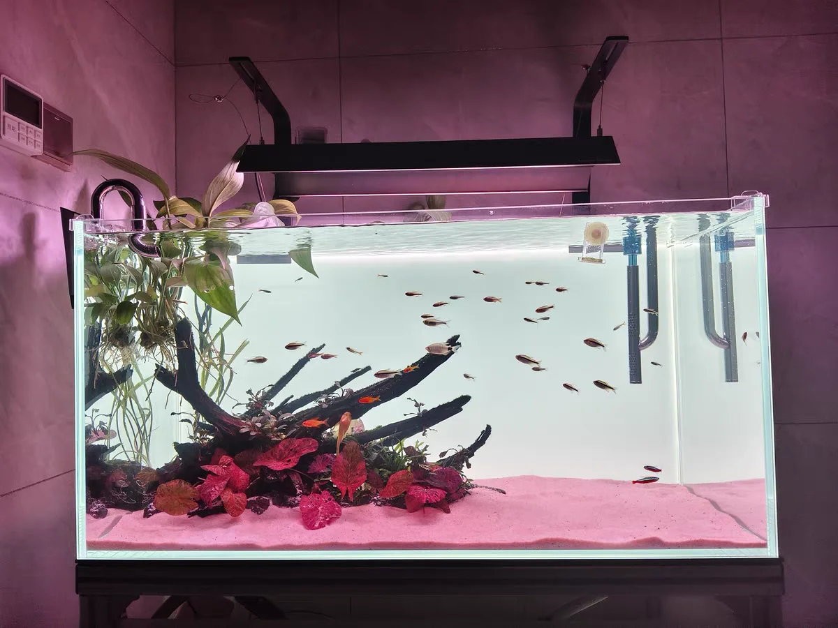 RGB Acryl Aquarium Achtergrond - Aquarium Fish Colour recensie en prijs
