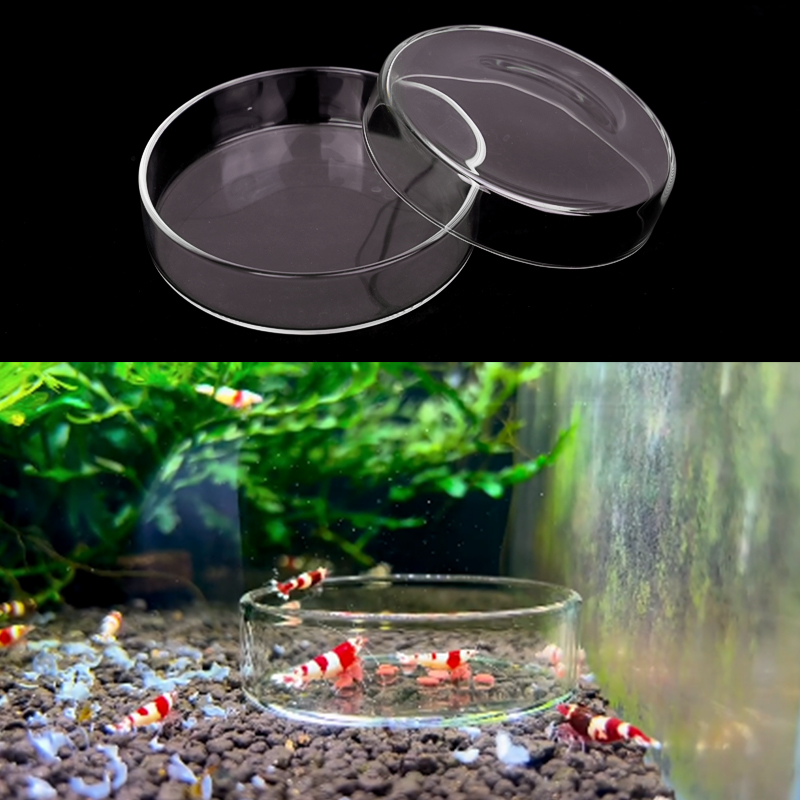 Garnalen Voerbak Hoge Transpar - Aquarium Fish Food recensie en prijs
