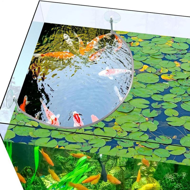 Drijvende plant Corral Fish Fe - Aquarium Fish Food recensie en prijs