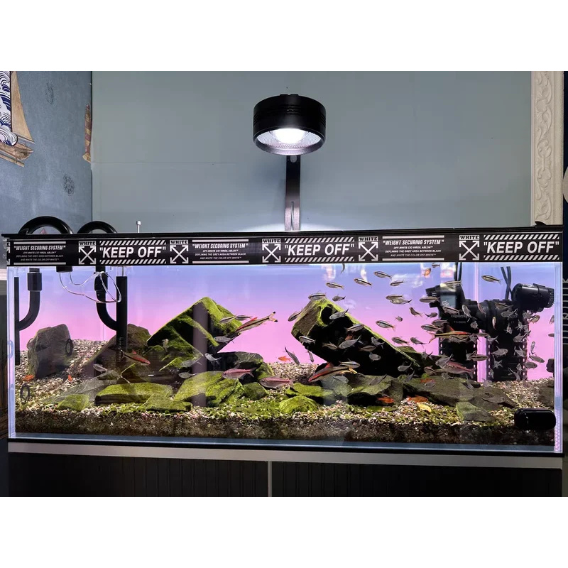 RGB Acryl Visbak Achterwand Kl - Aquarium Fish Colour recensie en prijs