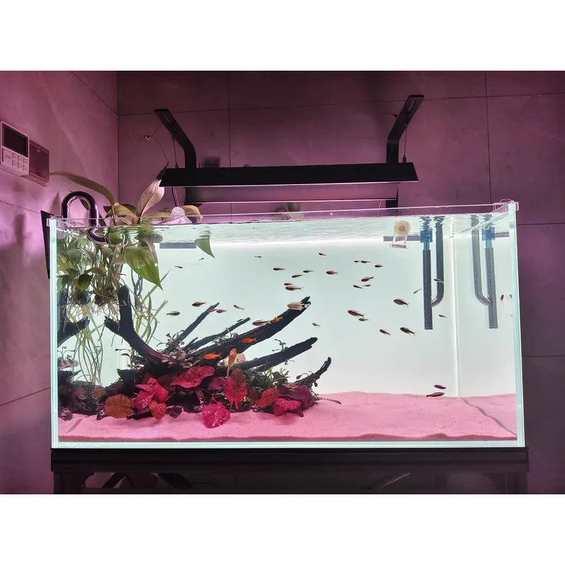 RGB Acryl Visbak Achterwand Kl - Aquarium Fish Colour recensie en prijs