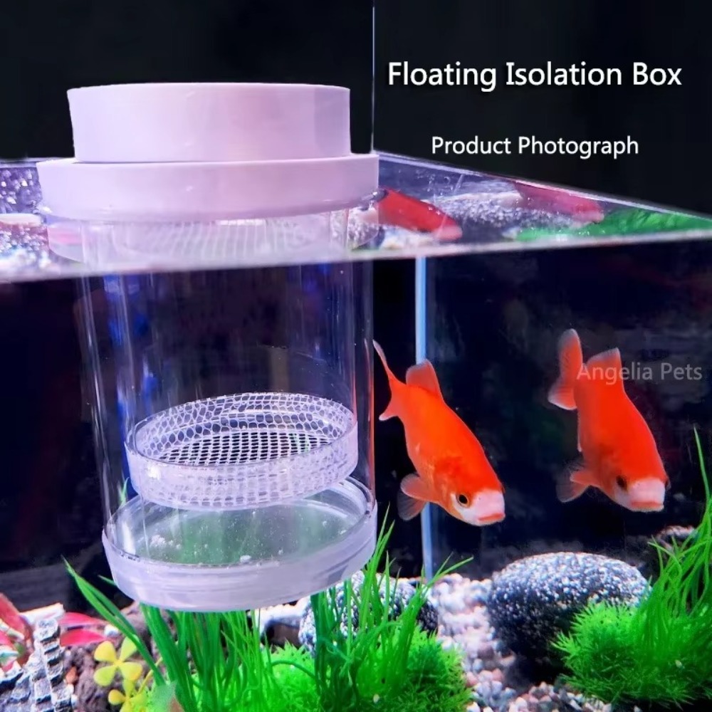 Plastic Drijvende Vis Fokken I - Aquarium Fish Jar recensie en prijs