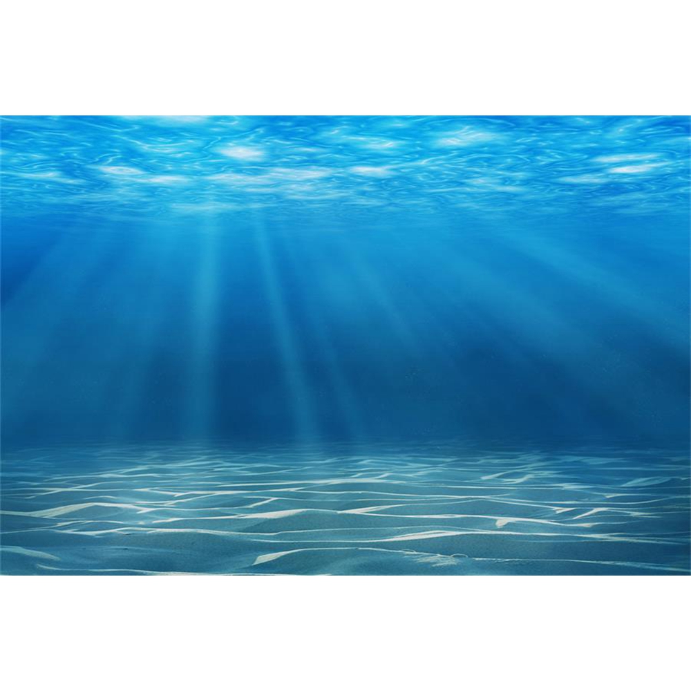 Onderwaterwereld Zeebodem Foto - Aquarium Fish World recensie en prijs