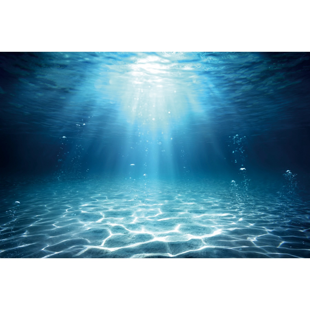 Onderwaterwereld Zeebodem Foto - Aquarium Fish World recensie en prijs