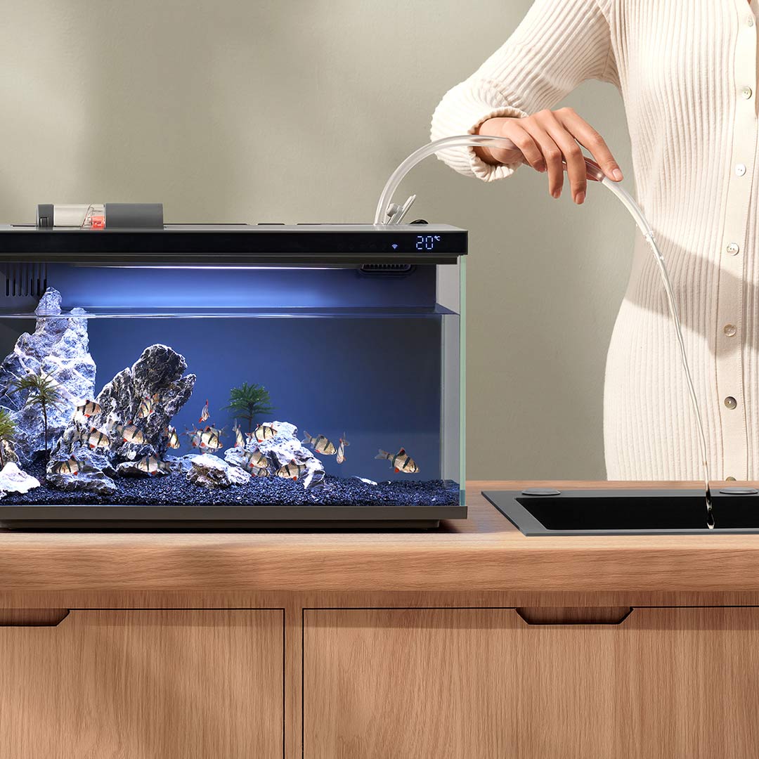 Xiaomi Mijia Smart Fish Tank M - Aquarium Fish Food recensie en prijs