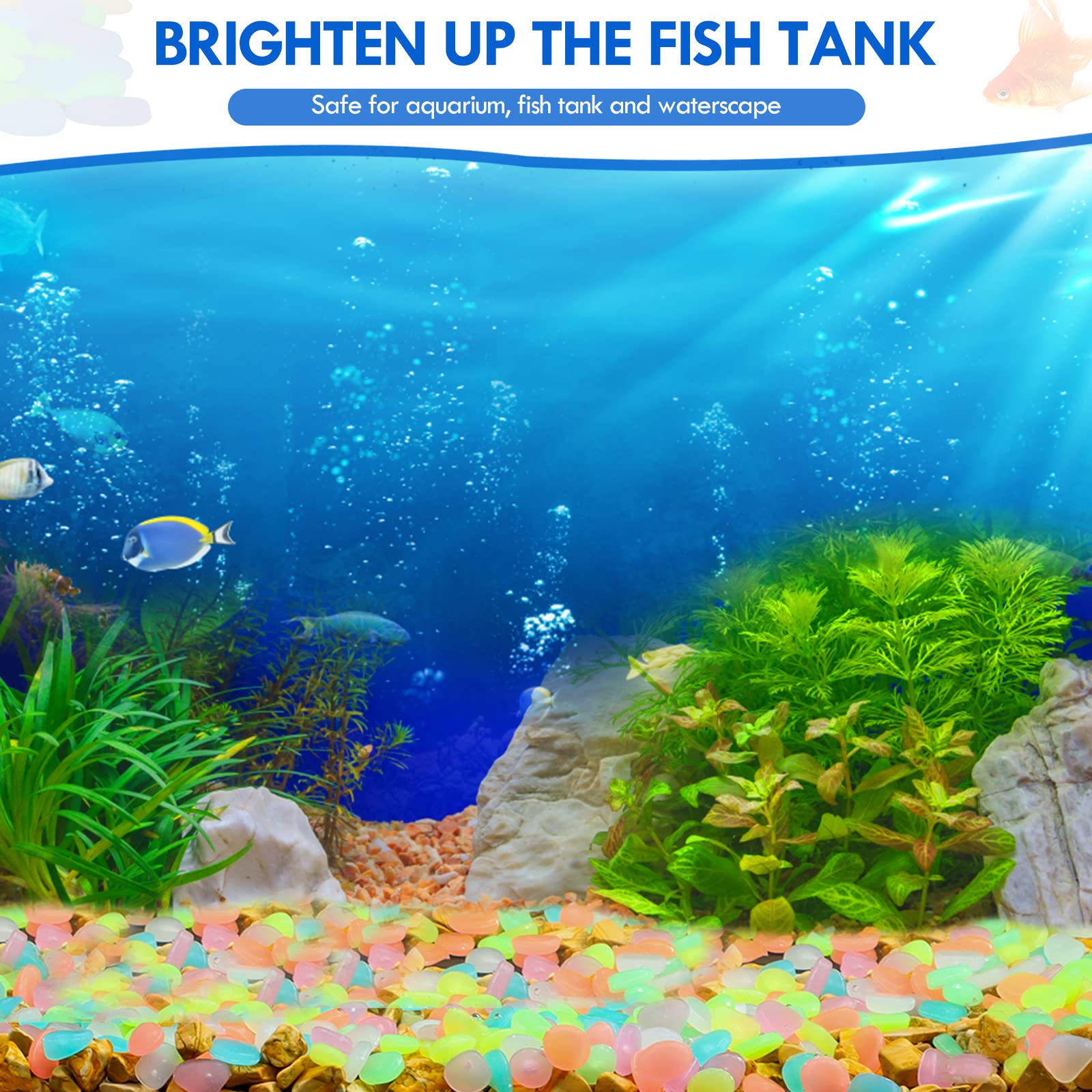 100 Stuks Glow in The Dark Tui - Aquarium Fish Glow In The Dark recensie en prijs