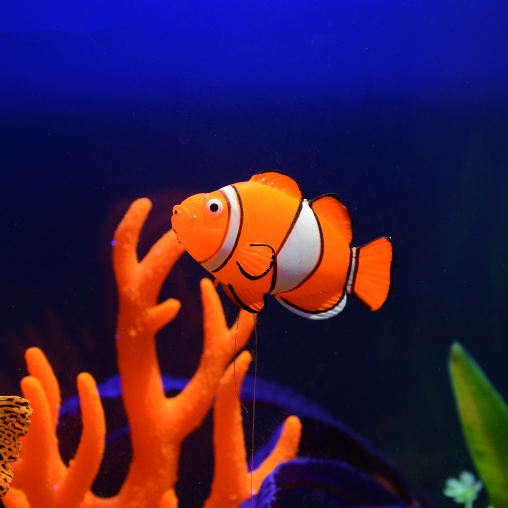 Glow in the Dark Lichtgevende  - Aquarium Fish Glow In The Dark recensie en prijs