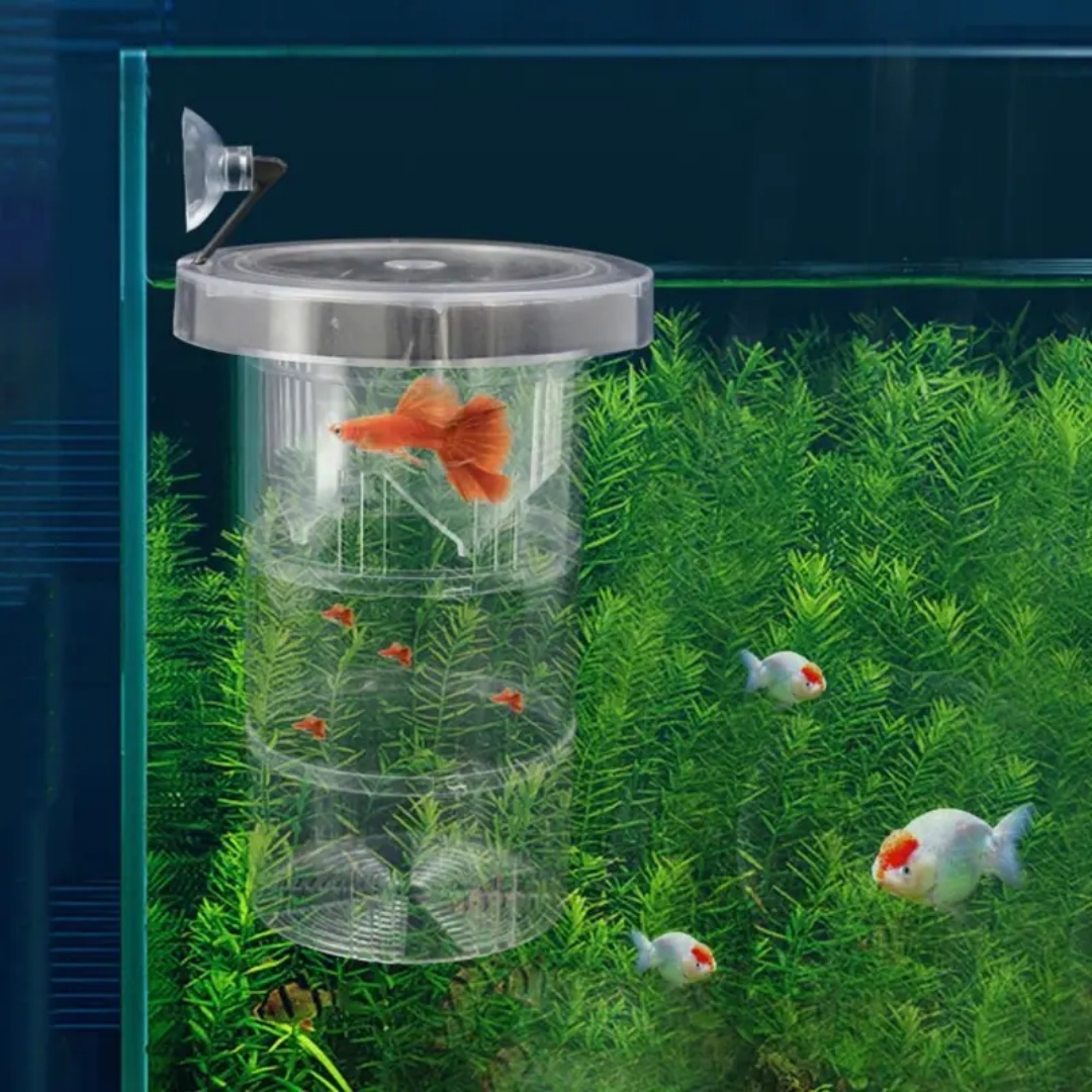 Acryl Drijvende Vis Fokken Iso - Aquarium Fish Jar recensie en prijs
