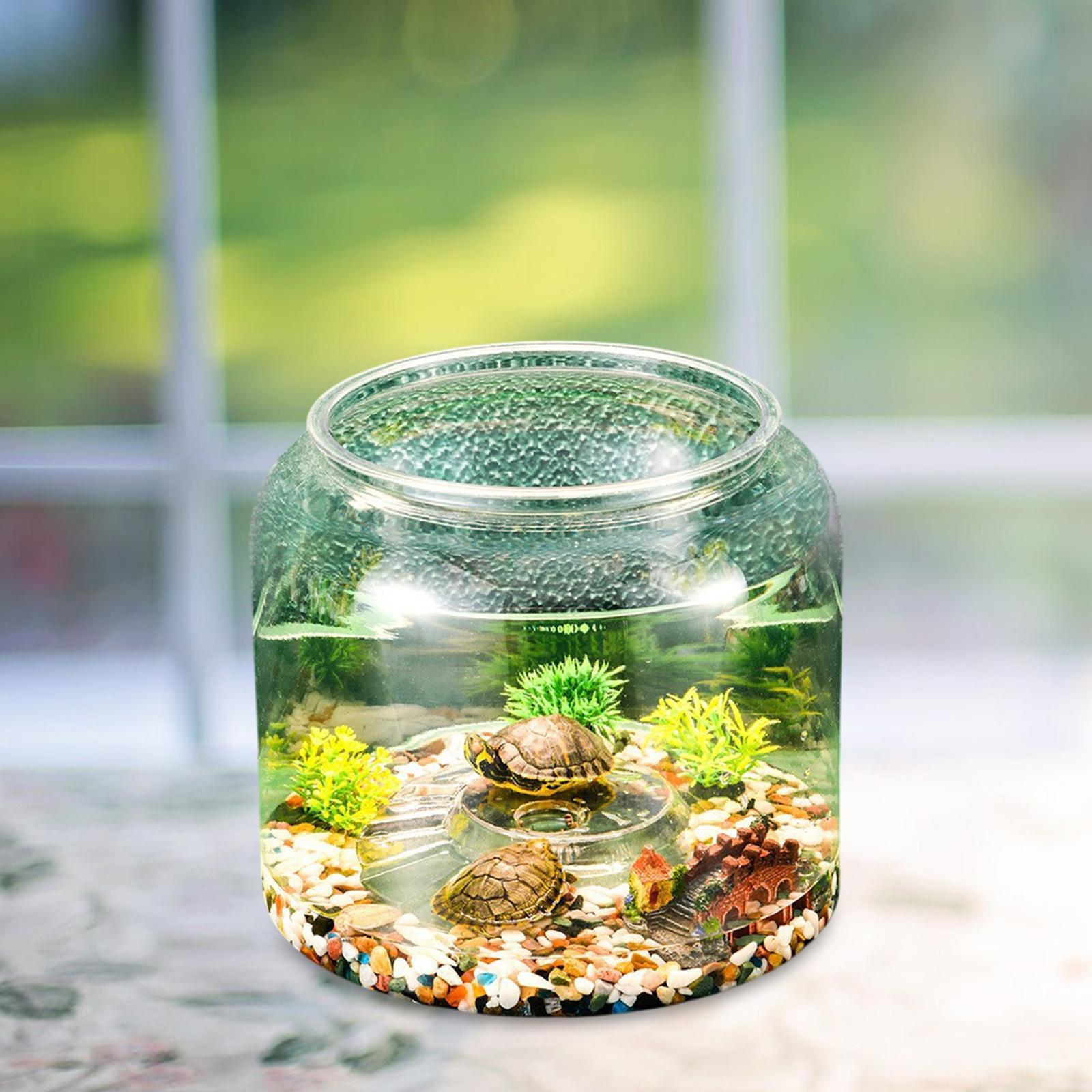 Schildpaddentank Tafelmodel Re - Draw Fish Aquarium recensie en prijs