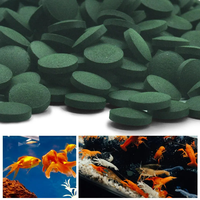 100-1500 Stuks Hoge Zuiverheid - Aquarium Fish Food recensie en prijs