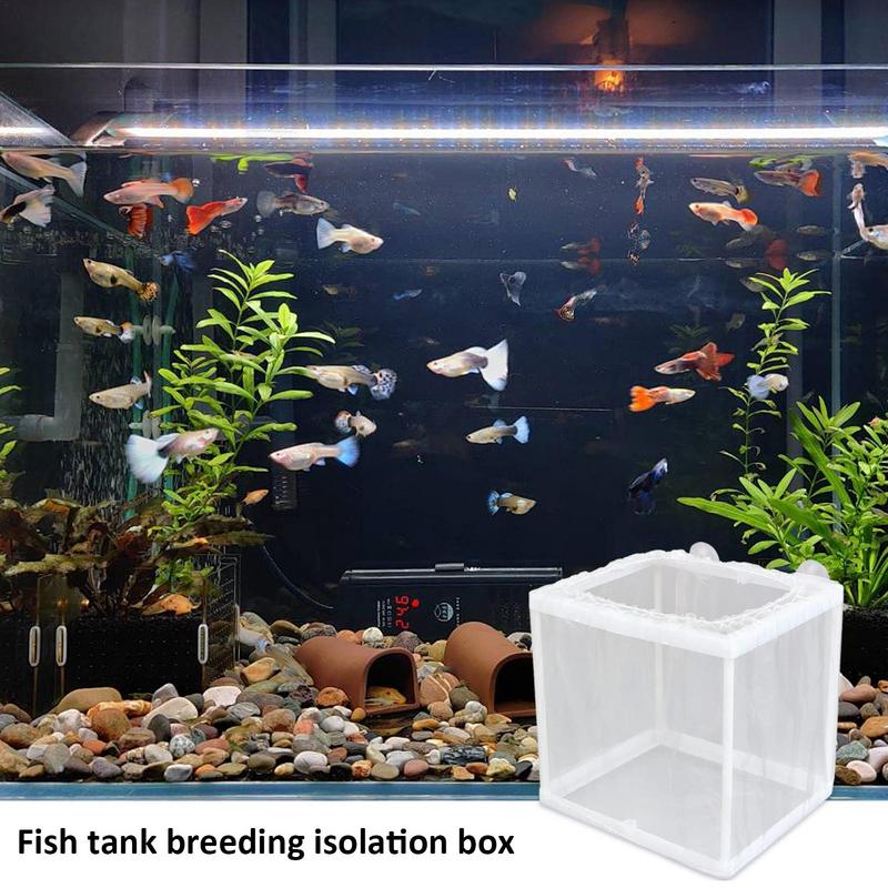 Vis Fokker Box Diy Aquarium Ha - Aquarium Fish Jar recensie en prijs